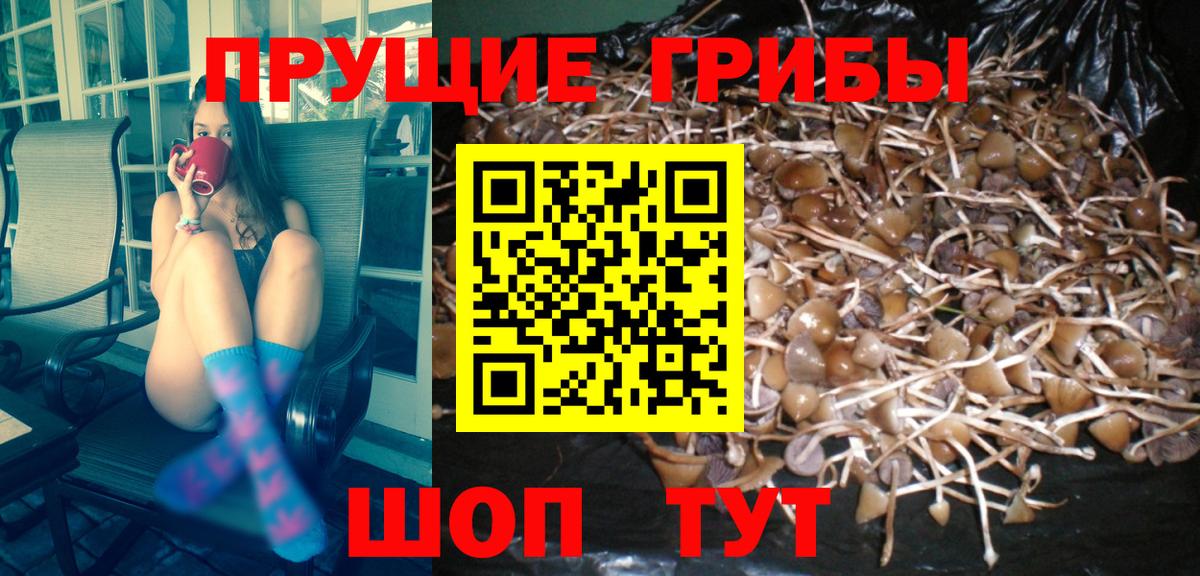Галлюциногенные грибы Psilocybine cubensis  магазин продажи   Россия  Вход с VPN  Псилоцибиновые грибы Magic Shrooms 